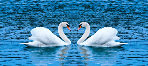 631713 (a): :4000x1795